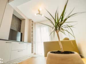 Apartament Ultracentral | 2 Camere | Prima Închiriere | Parca — miniatura 3