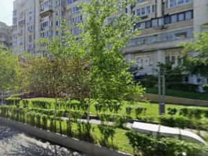Spatiu comercial de inchiriat - Bdul Decebal, metrou M2 — miniatura 2