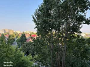 APARTAMENT 3 CAMERE PARCUL CIRCULUI — miniatura 2
