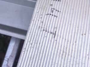 Rampe auto de vânzare — miniatura 3