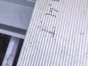 Rampe auto de vânzare — miniatura 8