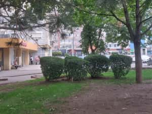 Dacia Apartament cu două camere — miniatura 6