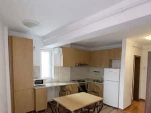 Apartament in Zona Centrala - 2 Camere | 46MP - Platinia | USAMV — miniatura 4