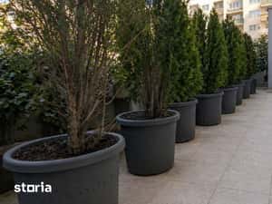 Apartament 3 camere de vanzare l Terasa 27 mp l Belvedere Residences — miniatura 6