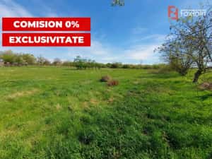 Comision 0% Teren intravilan 3000 mp in Padureni Jebel — miniatura 1