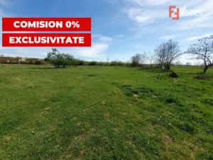 Comision 0% Teren intravilan 3000 mp in Padureni Jebel — miniatura 3