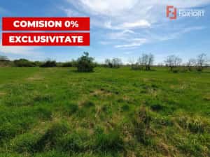 Comision 0% Teren intravilan 3000 mp in Padureni Jebel — miniatura 4