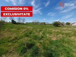 Comision 0% Teren intravilan 3000 mp in Padureni Jebel — miniatura 5