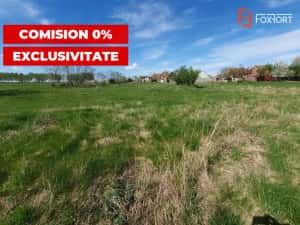 Comision 0% Teren intravilan 3000 mp in Padureni Jebel — miniatura 6
