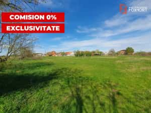 Comision 0% Teren intravilan 3000 mp in Padureni Jebel — miniatura 7