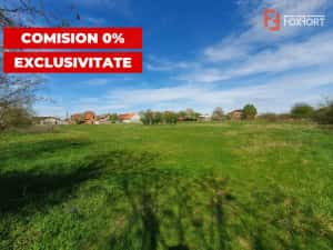 Comision 0% Teren intravilan 3000 mp in Padureni Jebel — miniatura 8