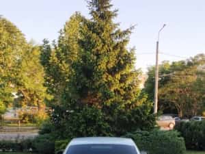 Skoda Octavia III Euro 6 Pachet Green Line Limousine — miniatura 5