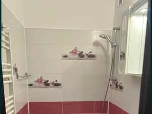 Apartament 2 camere zona Tractorul — miniatura 6