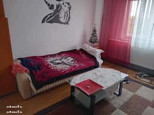 apartament 1 camera de inchiriat langa mall Calea Sagului — miniatura 3