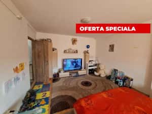 Oportunitate!-Apartament cu 1 camera-mobilat si utilat-Lipovei — miniatura 1