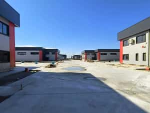 Direct Proprietar - Hale noi de inchiriat Domnesti — miniatura 3