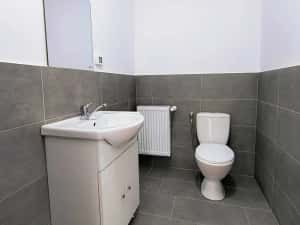 Direct Proprietar - Hale noi de inchiriat Domnesti — miniatura 8