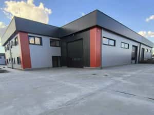 Direct Proprietar - Hale noi de inchiriat Domnesti — miniatura 10