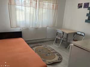 Garsoniera,  Frumoasa, utilata, bloc renovat — miniatura 3