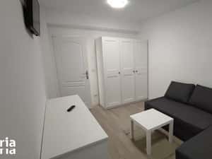 Apartament 1 camera Valea Lupului - Pacurari — miniatura 3