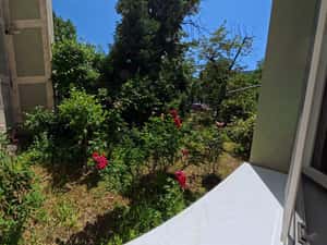 Proprietar 3 camere 59 mp | 2 băi | Piața Miniș - Titan — miniatura 3