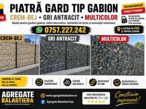 Piatra gard tip gabion Gri-antracit / Crem-bej dimensiune 63-90 — miniatura 10