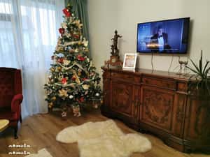 Apartament 3 camere zona Cetate cu gradina 100 mp — miniatura 3