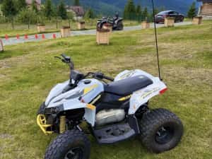 Can Am Renegade 110 Atv Copii — miniatura 3