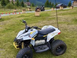 Can Am Renegade 110 Atv Copii — miniatura 8