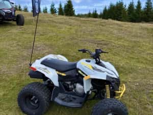 Can Am Renegade 110 Atv Copii — miniatura 9