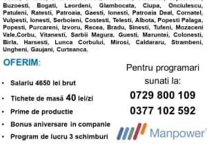 Operatori productie Catanele Arges