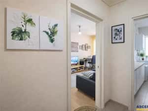 Panorama spectaculoasa:apartament 2 camere+garaj,Aleea Carpati,Targu Mures — miniatura 6