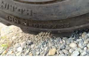 Anvelope 23x8.50r12 Bkt Industriale Second Hand — miniatura 10