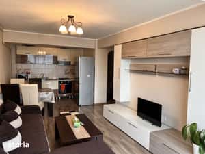 Pet Frendly 3 cam 2 baii Viteazu Dedeman — miniatura 6