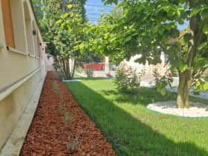 Amenajări & Întreținere Grădini Craiova, Gazon,Sisteme irigatii — miniatura 3