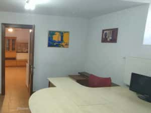 Spatiu birouri Timișoara de închiriat — miniatura 7