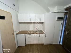 Apartament cu o camera, la parter, in Piata Uniri, in Timisoara — miniatura 3