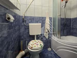 Casa individuala, POTENTIAL COMERCIAL RIDICAT Comision ZERO% — miniatura 7