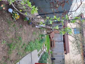 Apartament 3cam+curte+terasa din lemn — miniatura 5