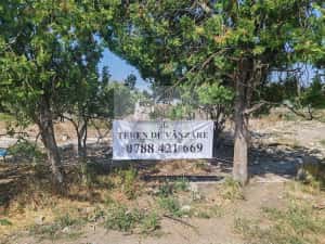 Proprietar vand teren -Teleorman-Radoiesti/Cetate-Comision 0!