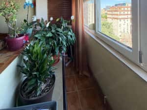 Apartament 2 camere - 73.000 euro - Zona Gheorghe Lazar — miniatura 5
