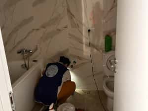 Curatenie generala  si intretinere — miniatura 3