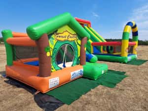 Închiriem Tobogane Gonflabile la Domiciliu pentru Evenimente Private — miniatura 4