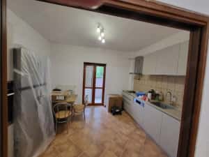 Inchiriez casa în Dumbravita — miniatura 7