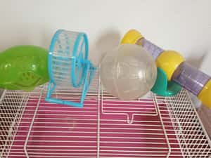 cușcă hamsteri pitici cu toate accesoriile, bilă de plimbare două roți de joacă tuburi ascunzatori e — miniatura 4