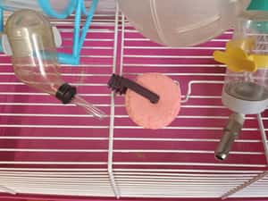 cușcă hamsteri pitici cu toate accesoriile, bilă de plimbare două roți de joacă tuburi ascunzatori e — miniatura 5
