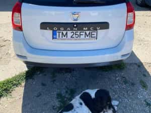 Dacia Logan MCV 0.9 TCe 90 CP + GPL – 2019 – 4.000 € — miniatura 8
