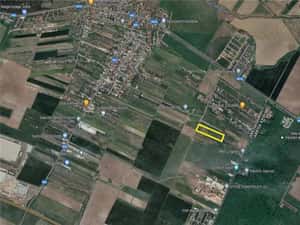 Închiriez 10.000 mp - teren intravilan langa Padurea Ileana - Dragomiresti
