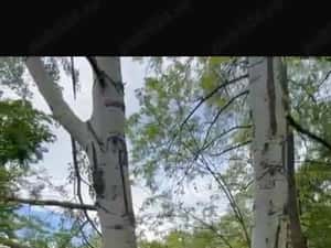 Vand teren extravilan comuna Barbatesti, Valcea, zona PARC NATIONAL!!!
