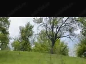 Vand teren extravilan comuna Barbatesti, Valcea, zona PARC NATIONAL!!! — miniatura 3